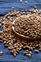 蓝色布上的大麦茶