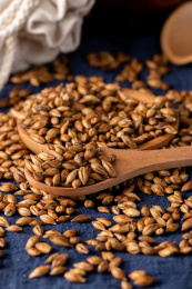 蓝色布上的大麦茶