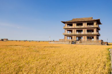 辽宁盘锦红海滩秋季田园稻田