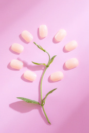 女性美容化妆专用美甲片