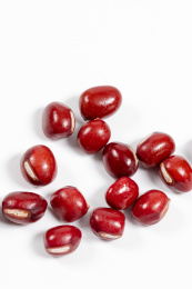 白色背景上红小豆