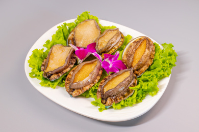 放在白色瓷盘生菜叶上的鲍鱼