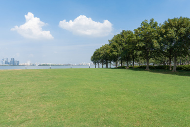 城市公园里的空旷草地背景图