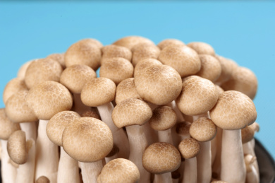 保健食品蟹味菇摆放在碟子中