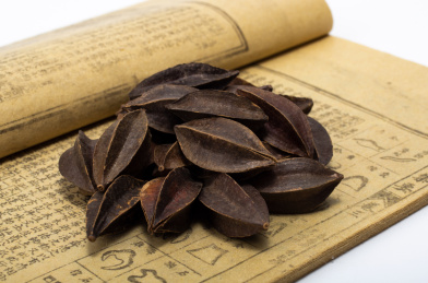 中国中草药植物药材使君子