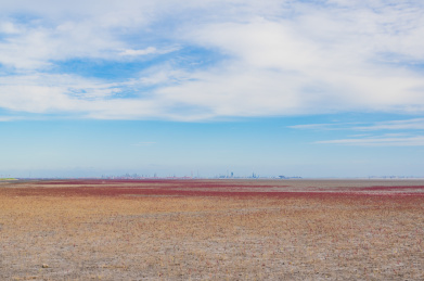 中国辽宁省盘锦市红海滩秋季自然风光