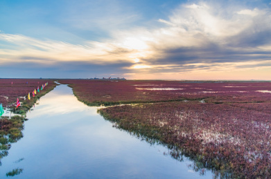 中国辽宁省盘锦市红海滩傍晚落日晚霞自然风光