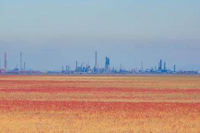 中国辽宁省盘锦市红海滩秋季自然风光