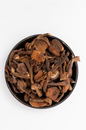 白色背景的野生蘑菇