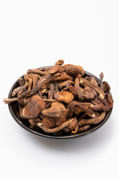 白色背景的野生蘑菇