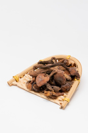 白色背景的野生蘑菇