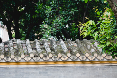 绿树掩映下的岭南古建筑屋檐 中国广东省佛山市顺德区清晖园