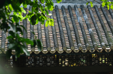 绿树掩映下的岭南古建筑屋檐 中国广东省佛山市顺德区清晖园