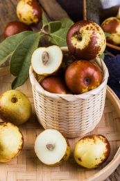 竹筐里装满了新鲜水果冬枣，旁边还洒落了一些