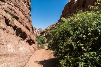 中国甘肃张掖平山湖大峡谷