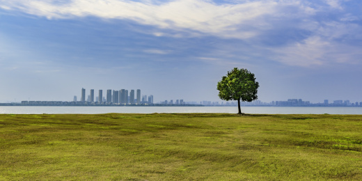 中国江苏省苏州市独墅湖湖畔风光