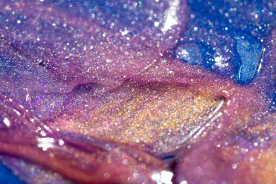 灯光照射着五颜六色的粉末颗粒