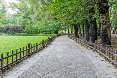 中国山西省太原市晋祠公园林荫路草坪景观