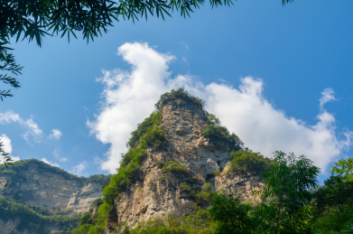 湖北宜昌三峡竹海风景区夏日风光