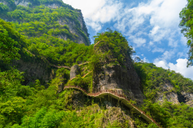 湖北宜昌三峡竹海风景区夏日风光