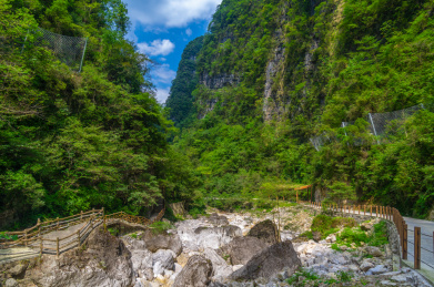 湖北宜昌三峡竹海风景区夏日风光