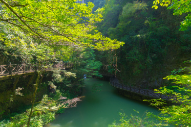 湖北宜昌三峡大瀑布风景区夏日风光