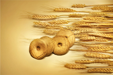 排列整齐的麦子和全麦饼干放在黄色背景上