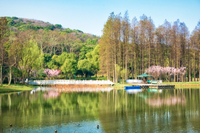 中国江苏无锡鼋头渚公园内湖景