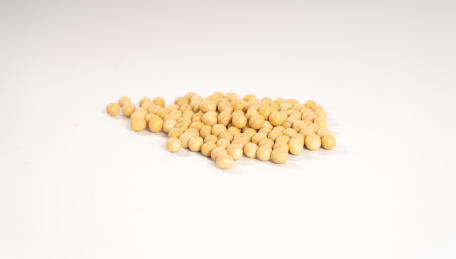 纯白色背景下的一堆新鲜大豆