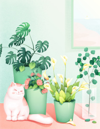 猫咪先生的午后悠闲生活