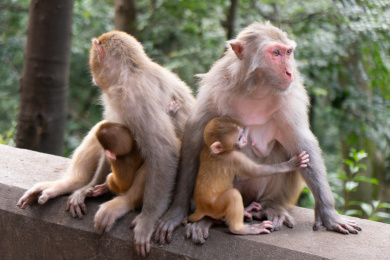 中国贵州省贵阳市黔灵山公园风光