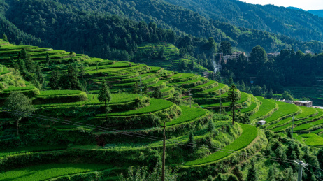 贵州省黔东南苗族侗族自治州黎平县肇兴侗寨风光