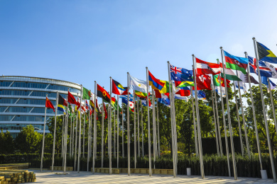 国家会展中心(上海)南广场和各国国旗