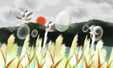 二十四节气寒露大自然芦苇丛中的水泡插画