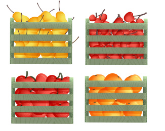 扁平风格装水果的水果筐插画元素