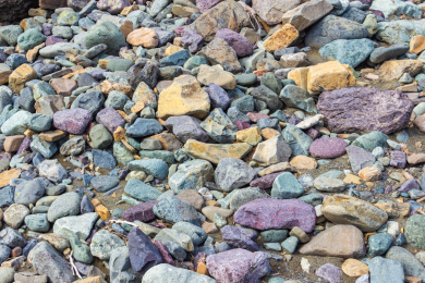 河滩上形状各异的彩色石头