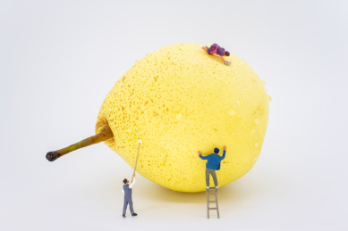 水果创意图片白色背景正在清洁梨的小人