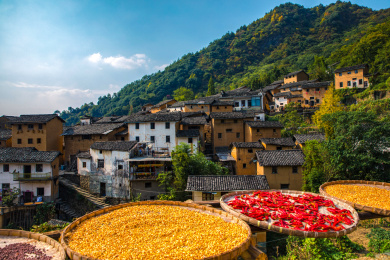 中国安徽黄山市歙县-阳产土楼晒秋