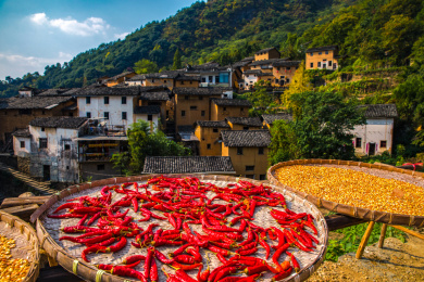 中国安徽黄山市歙县-阳产土楼晒秋
