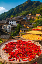 中国安徽省黄山市歙县-阳产土楼