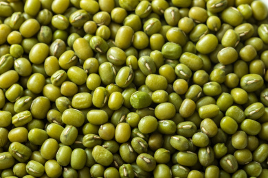 颗粒饱满的豆科食材绿豆豆子