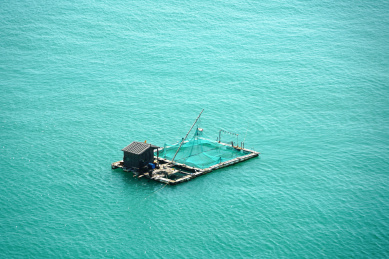 碧海之上进行海产养殖捕捞的渔排
