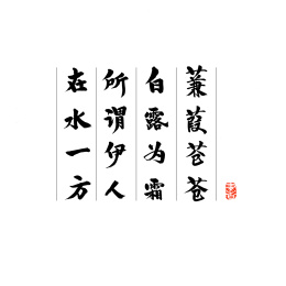 诗经蒹葭苍苍白露为霜汉字书法字体字形中国风