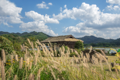 白云下中国浙江宁波东钱湖旁的草房和前景的狗尾草