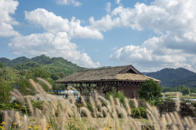 白云下中国浙江宁波东钱湖旁的草房和前景的狗尾草