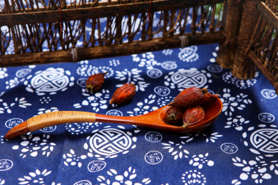 传统中医中药材卤料香料栀子果