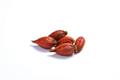 中医药材天然染料调料栀子果