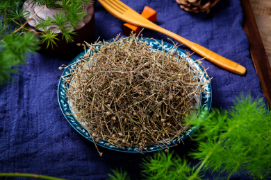 传统中医学中草药材白花蛇草