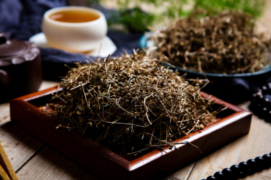 传统中医学中草药材白花蛇草