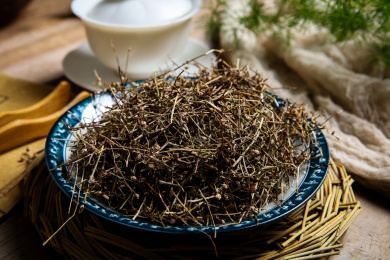 传统中医学中草药材白花蛇草